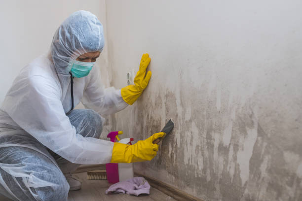Best Biohazard Mold Removal  in Mayfield, PA